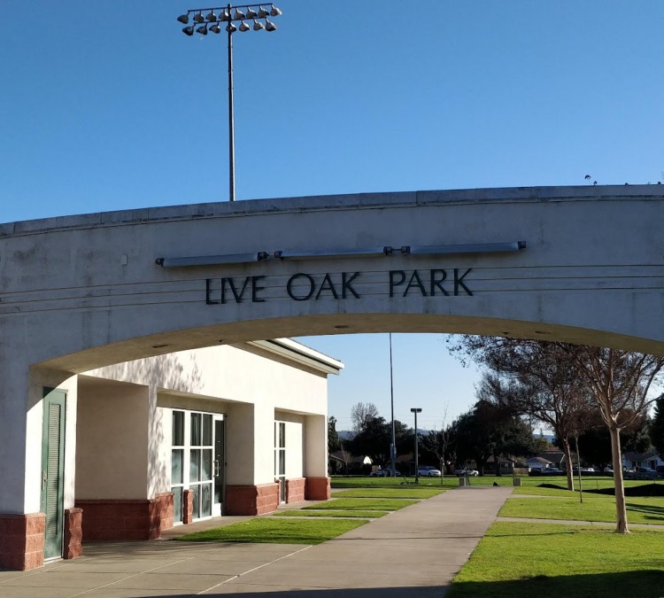 live-oak-park-photo